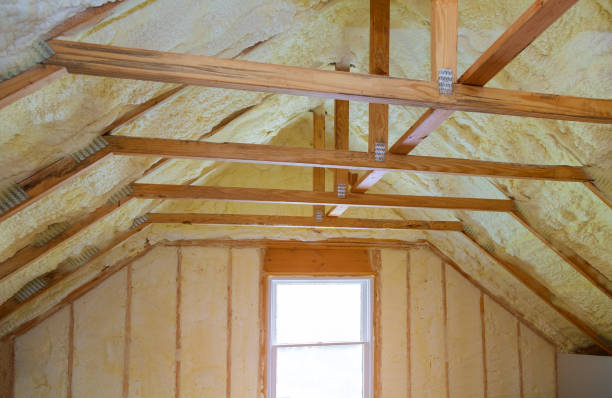 Best Attic Insulation Installation  in Ben Bolt, TX