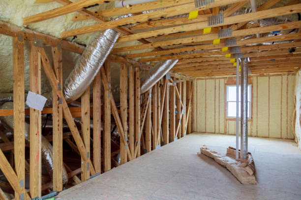Best Home Insulation Services  in Ben Bolt, TX
