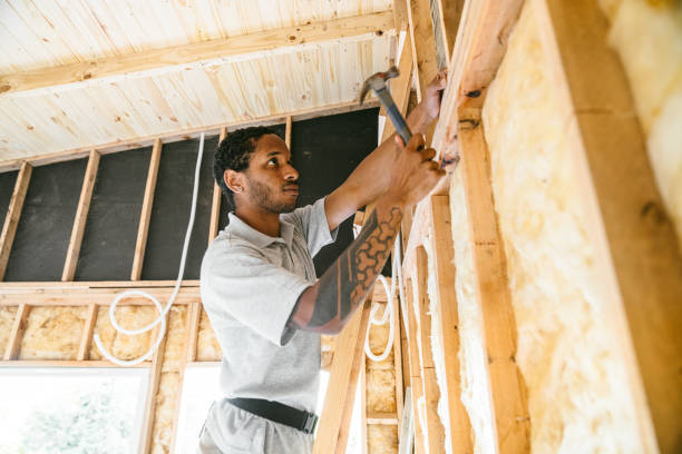 Best Affordable Insulation Services  in Ben Bolt, TX