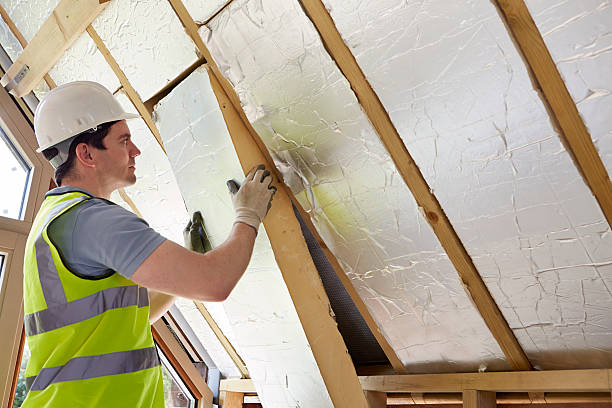Best Residential Insulation Services  in Ben Bolt, TX